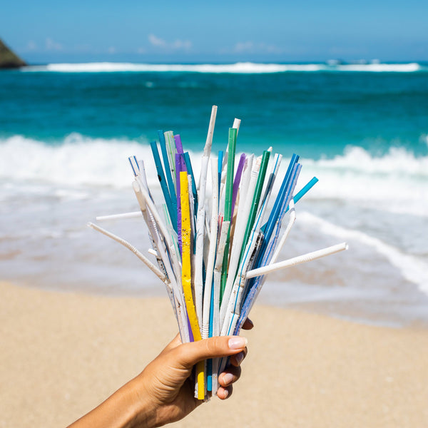 Which Countries Have Banned Single-Use Plastics?