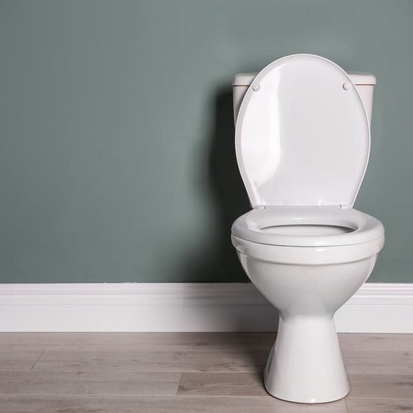 Toilet Hygiene: A History