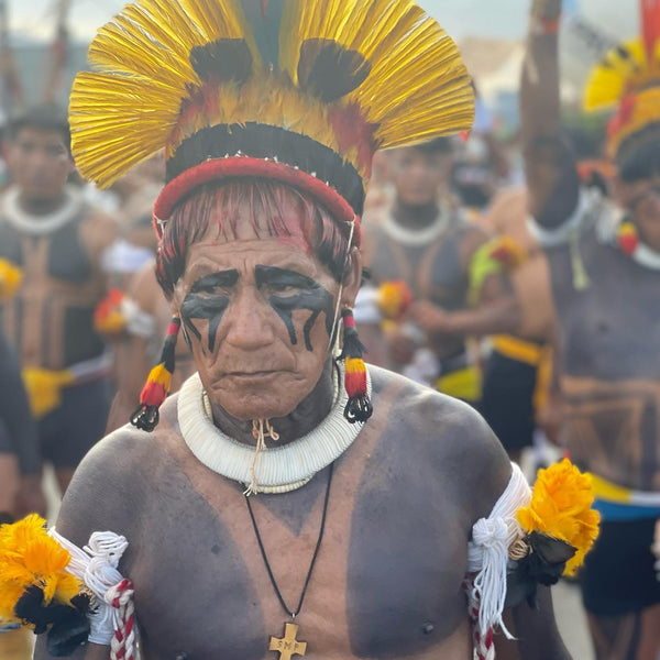 How The Battle For Potash Is Endangering The Amazon