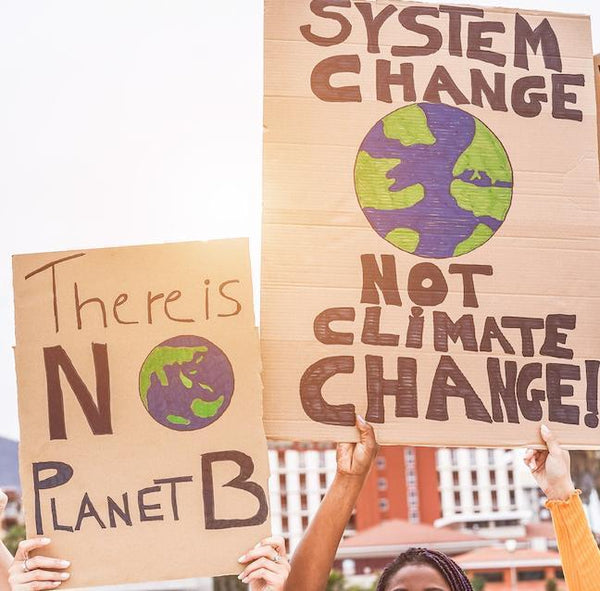 Two Thirds of Us Believe We Are In a Climate Emergency