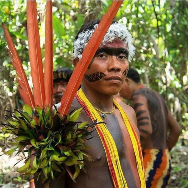 The Yanomami Crisis: What’s Going On?