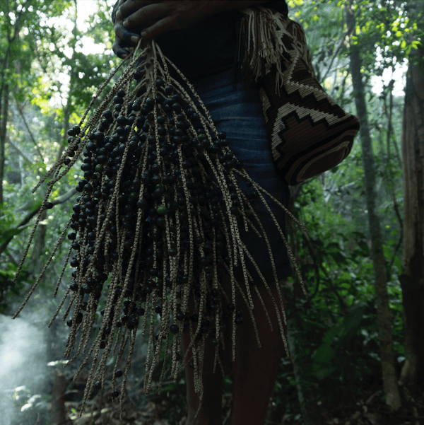 The Indigenous Declaration – Survival Depends On It