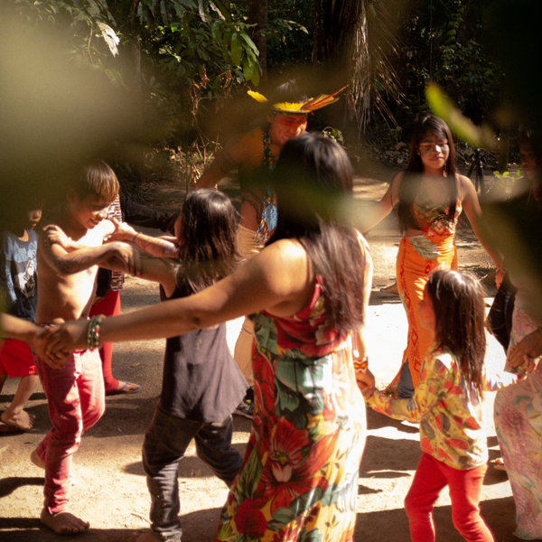 Land Rights In The Brazilian Amazon: Promises, Threats And Resistance
